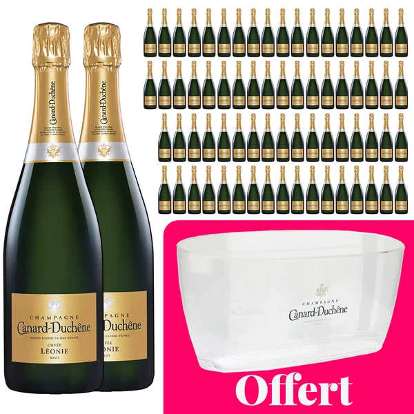 72 bouteilles Champagne Canard Duchêne Cuvée Léonie Brut et 1 vasque offerte