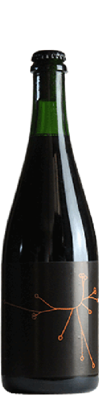 Brasserie SPO Brown Ale Brettée Bière élevée en fûts de Pinot Noir 2020 37,5cl
