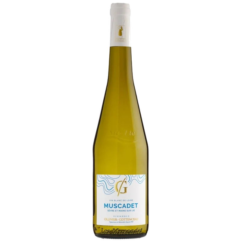 AOP MUSCADET GRENAUDIERE VIEILLES VIGNES 2023