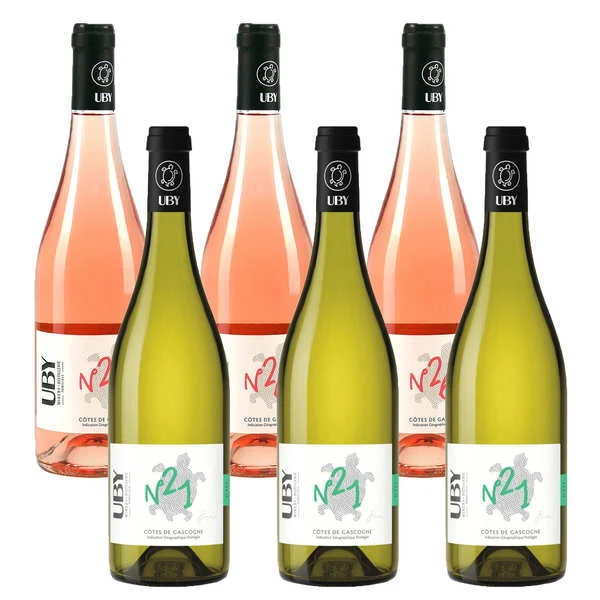 Assortiment 6 vins bio Domaine UBY