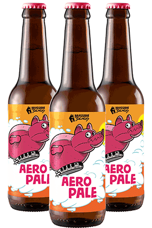 Brasserie 3ienchs Aero Pale – Pale Ale – Coffret 12 bouteilles