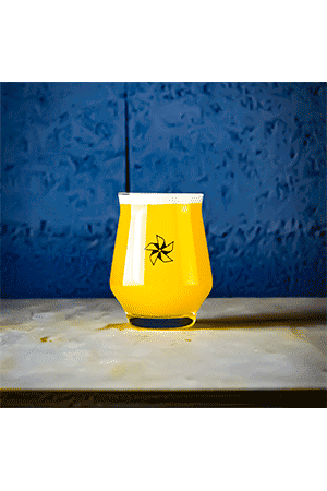 Brasserie Aerofab Verre Craft Master Pure 25 cl