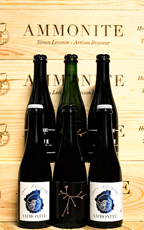 Brasserie Ammonite Coffret Ammonite and friends – 12 x 37,5 cl ⭐