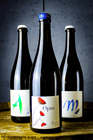Brasserie Ammonite Coffret Grands Crus – 3 x 75 cl ⭐