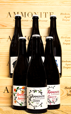 Brasserie Ammonite Coffret Vendange x Solera – 6 x 75 cl ⭐