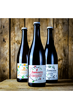 Brasserie Ammonite Coffret – Vendanges 3 x 75 cl