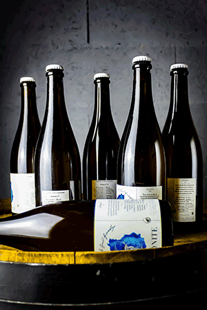 Brasserie Ammonite Coffret Verticale Solera – 6 x 75 cl ⭐