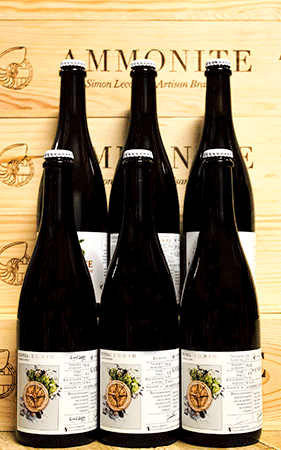 Brasserie Ammonite Coffret Vinifera x Vendange – 6 x 75 cl ⭐