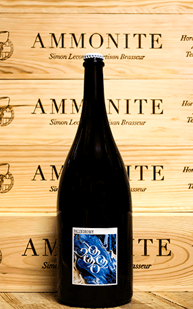 Brasserie Ammonite Palindrome – Bière de fermentation spontanée – 150cl ⭐