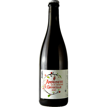 Brasserie Ammonite Vendange Groseille 2023 – Bière de fermentation spontanée