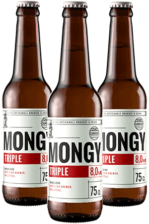 Brasserie Cambier Mongy Triple – Coffret 6 bouteilles