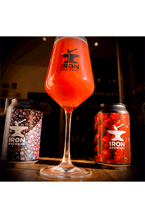 Brasserie Iron Verre à Pied