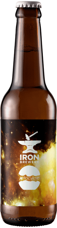 Brasserie Iron Wild Barrel Aged – Bière élevée sur Marcs de Muscat de Hambourg 33cl