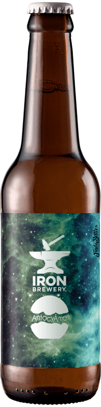 Brasserie Iron Wild Barrel Aged – Bière élevée sur Marcs de Syrah 33cl