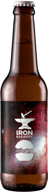 Brasserie Iron Wild Barrel Aged – Saint Emilion – Bière élevée sur Marcs de Cabernet Franc 33cl