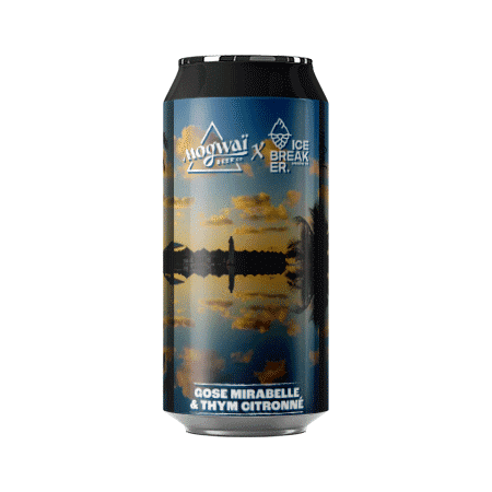 Brasserie Mogwaï Miroir Miroir – Bière Gose à la mirabelle et aux thym citronné
