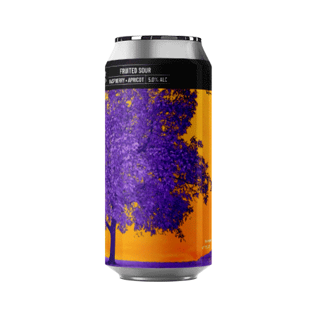 Brasserie Noiseless IR#04 – Bière Sour aux Abricot & Framboises