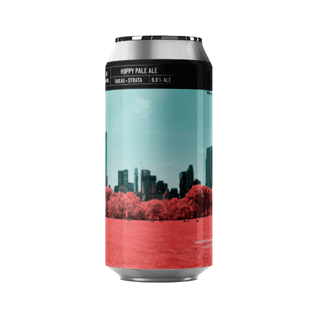 Brasserie Noiseless IR#06 – Hoppy Pale Ale Rakau & Strata