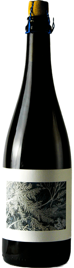 Brasserie Popihn Assemblage 2023 – Cuvée Collab’ Cyclic