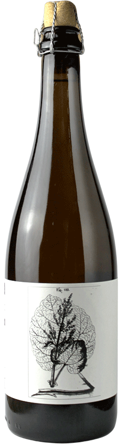 Brasserie Popihn Assemblage n°1 2022 – Cuvée Rhubarbe