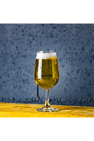 Brasserie Popihn Verre à Pied INAO