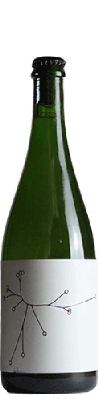 Brasserie SPO Bière Saison élevée en fûts de Pinot Noir et au Sureau MMXXIII 75cl