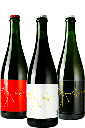Brasserie SPO Coffret Découverte | 6 bouteilles de 75cl