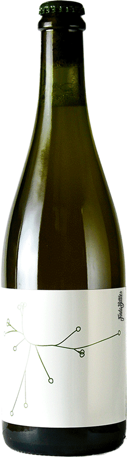Brasserie SPO Farmhouse – Bière saison aux Bourgeons de Sapin