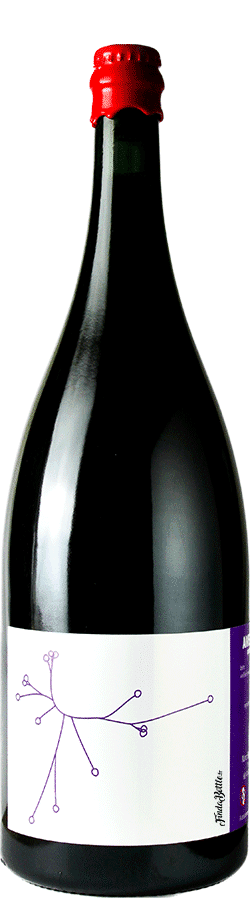 Brasserie SPO Saison Brettée B.A Amer Brett’s Quetsches De Chez Flo 2023 Magnum