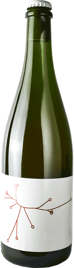 Brasserie SPO Saison Brettée B.A Amer Brett’s Rhubarbe MMXXII 75cl