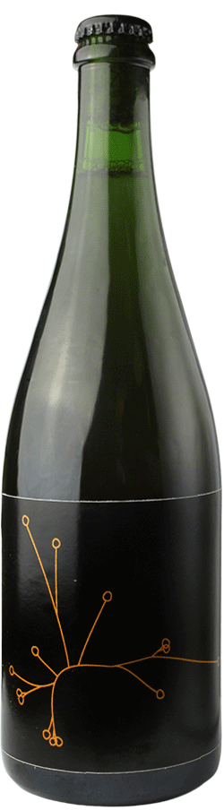 Brasserie SPO Saison Brettée B.A Pinot Noir Amer Brett’s V1 75cl