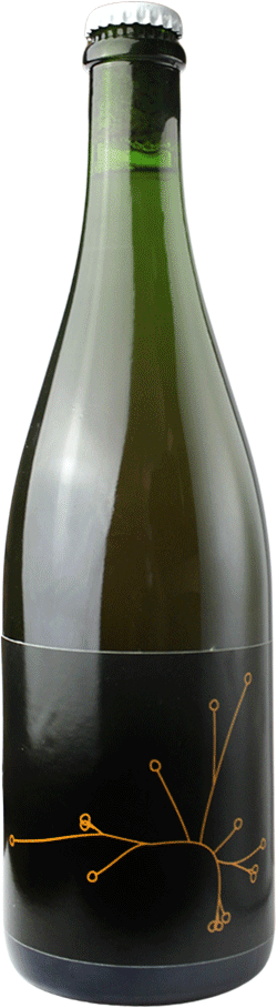 Brasserie SPO Saison Brettée B.A Pinot Noir Amer Brett’s V2 75cl