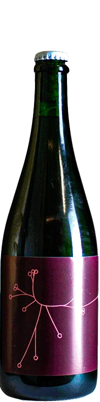 Brasserie SPO Saison Brettée B.A Pinot Noir Brettanovinasse 2021 75cl