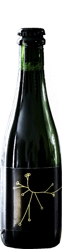Brasserie SPO Saison Brett’s
