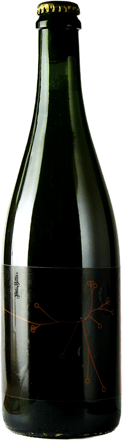 Brasserie SPO Saison Sauvage Noces De Cuir – Cuvée Anniversaire