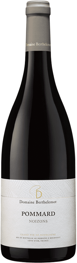 Domaine Berthelemot Pommard Bio Noizons 2021