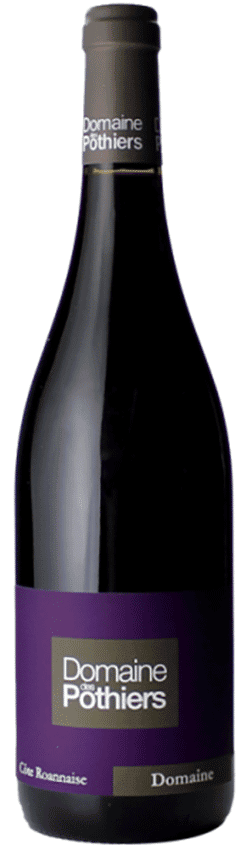 Domaine des Pothiers Côte Roannaise Cuvée Domaine rouge 2021