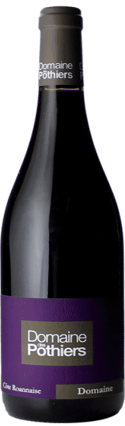 Domaine des Pothiers Côte Roannaise Magnum Cuvée Domaine rouge 2021