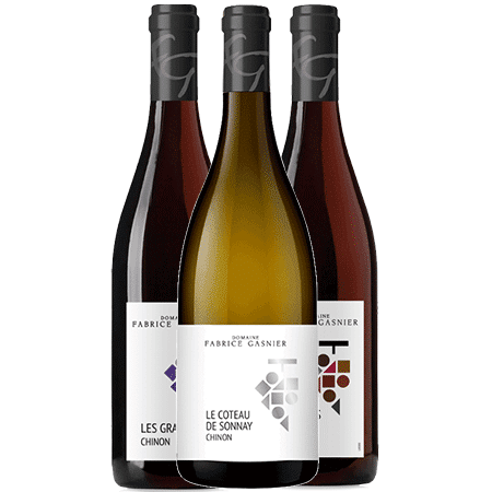 Domaine Fabrice Gasnier Chinon – Coffret Découverte | 6 bouteilles