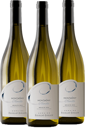 Domaine Feuillat-Juillot Coffret Montagny Cuvée Camille 2020 | 6 Bouteilles