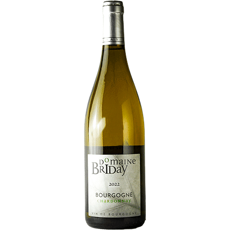 Domaine Michel Briday Bourgogne Chardonnay 2022