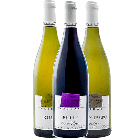 Domaine Michel Briday Coffret Découverte | 6 bouteilles