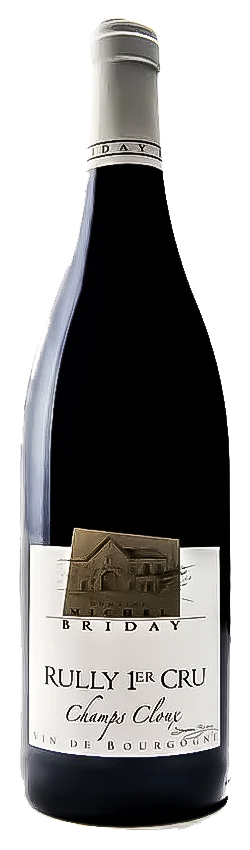 Domaine Michel Briday Rully Rouge Premier Cru Champs Cloux 2016
