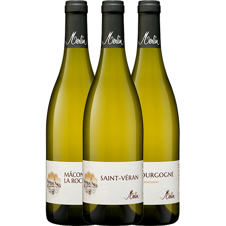 Domaine Olivier Merlin Coffret Découverte 6 Bouteilles