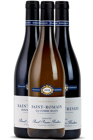 Domaine Pascal Prunier-Bonheur Coffret Découverte 6 bouteilles
