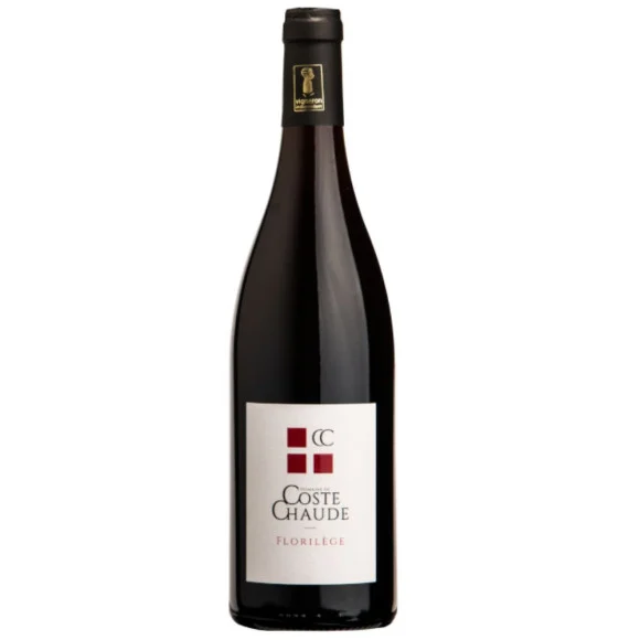 Florilège Côtes du Rhône Villages Visan - Coste Chaude 2022 Bio