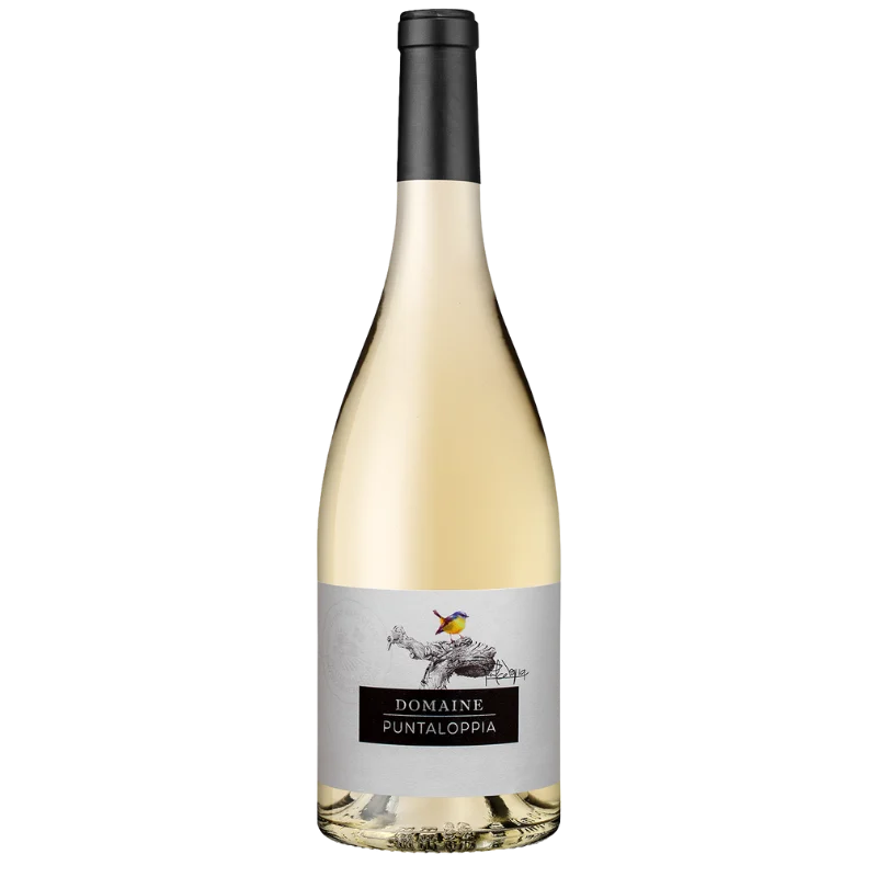 IGP ILE DE BEAUTE BLANC DOMAINE PUNTALOPPIA