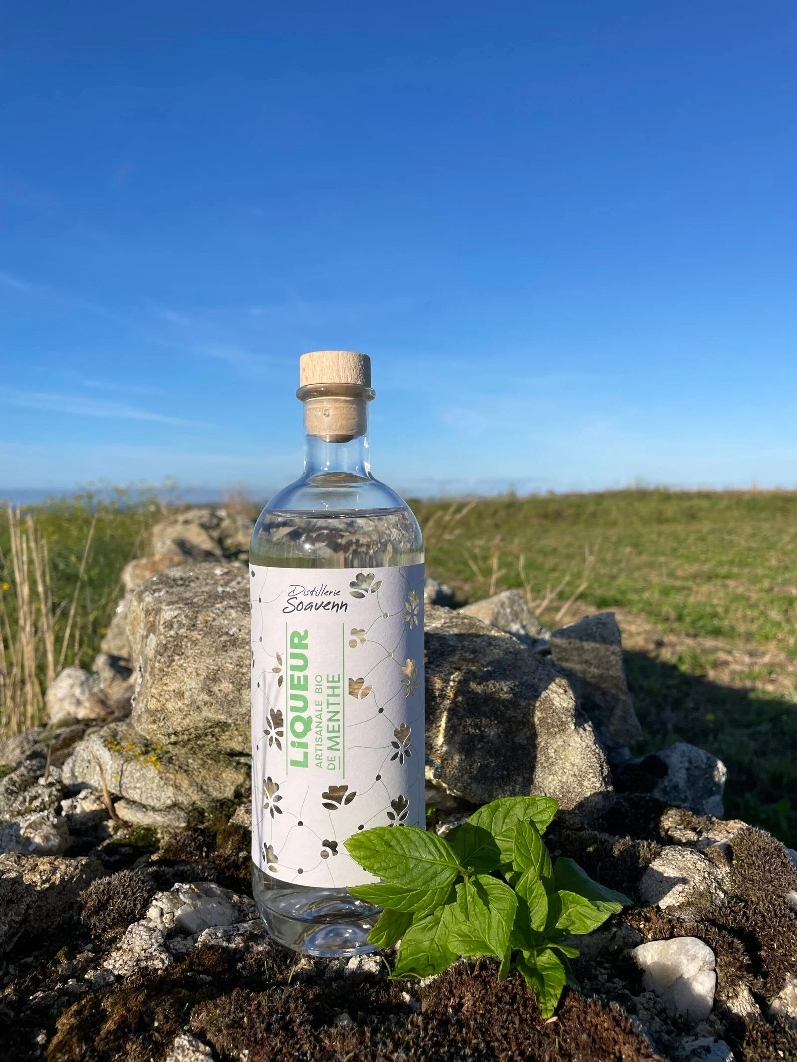 Liqueur de Menthe fraiche sOavenn