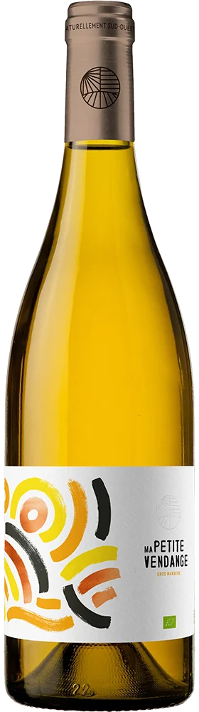 Ma Petite Vendange Blanc – Château du Pouey 2024