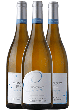 Montagny – Coffret Découverte du Domaine | 6 bouteilles